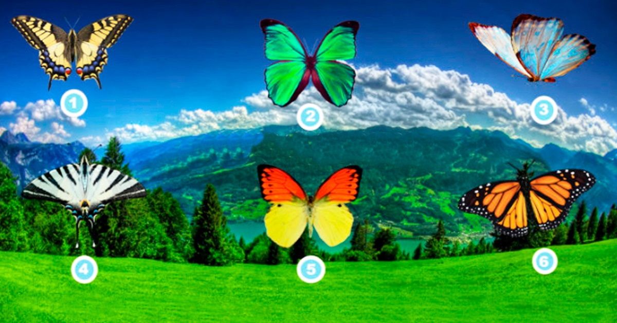 Test delle farfalle, scegli quella che più ti piace e scopri come sei