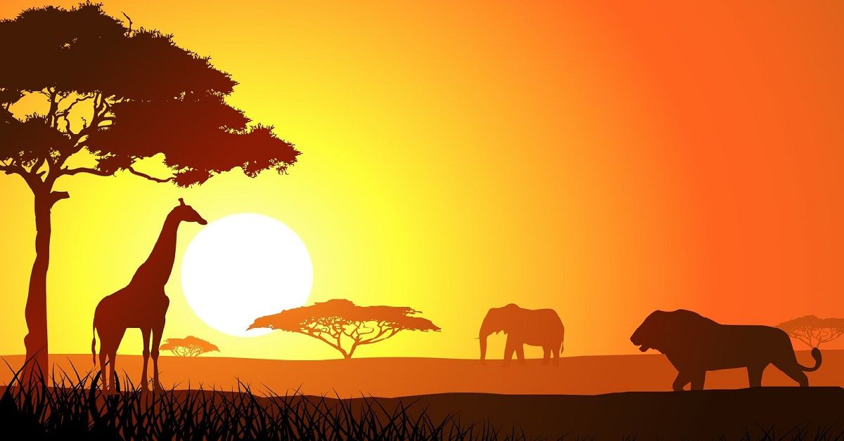 Cosa attira la tua attenzione in questa foto dell’Africa? La tua scelta indica il tuo disagio inconscio