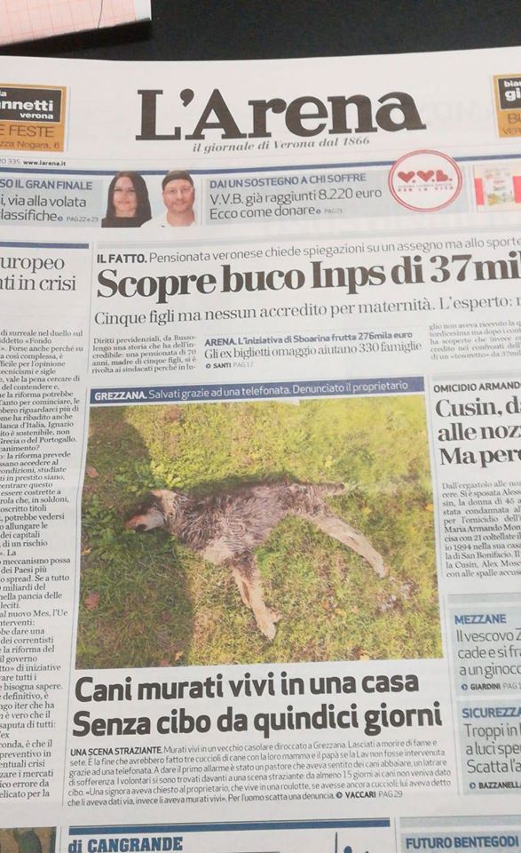 giornale-articolo