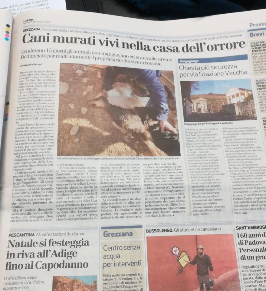 giornale