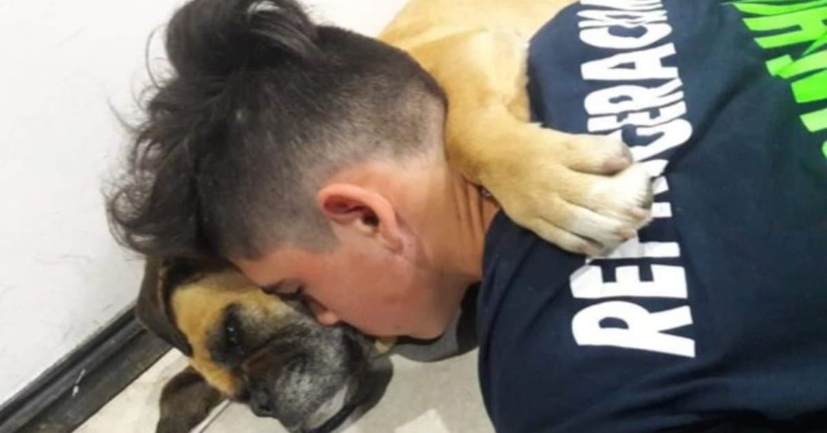 Maqui, la cagnolina morta a causa dei fuochi d’artificio