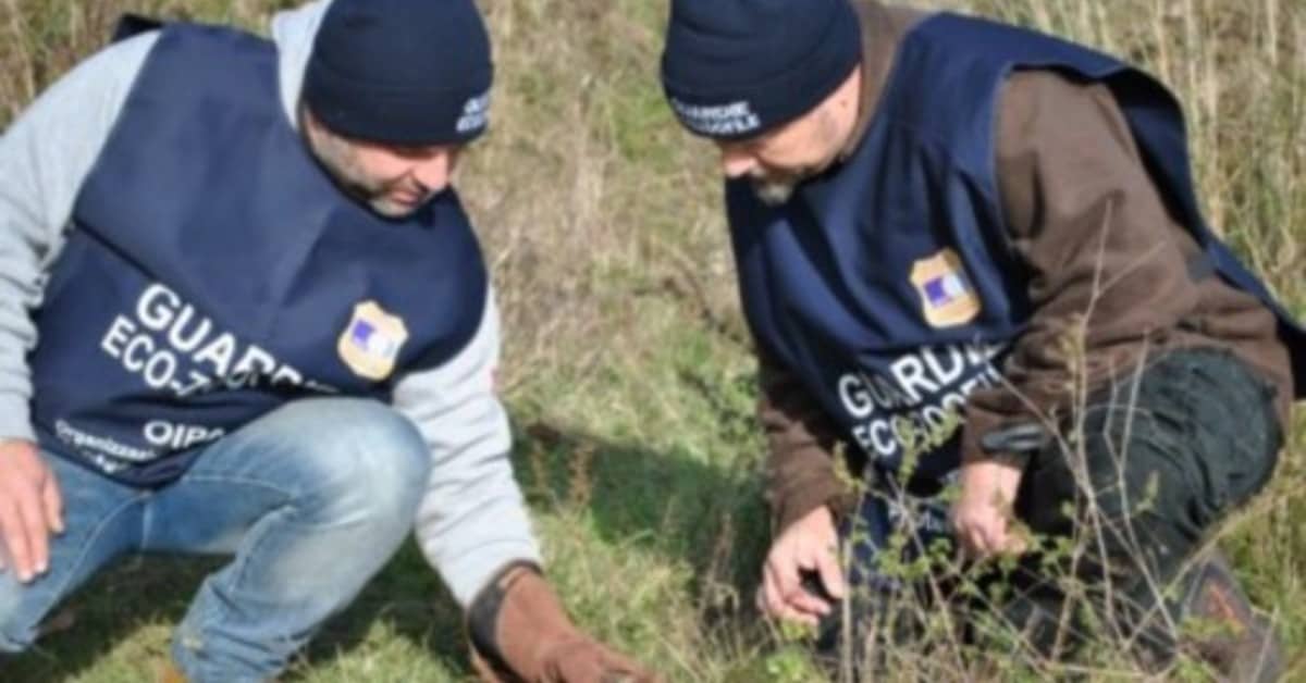 Prato, denunciato un uomo di 50 anni per maltrattamento verso gli animali