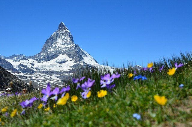 Trenino Verde delle Alpi