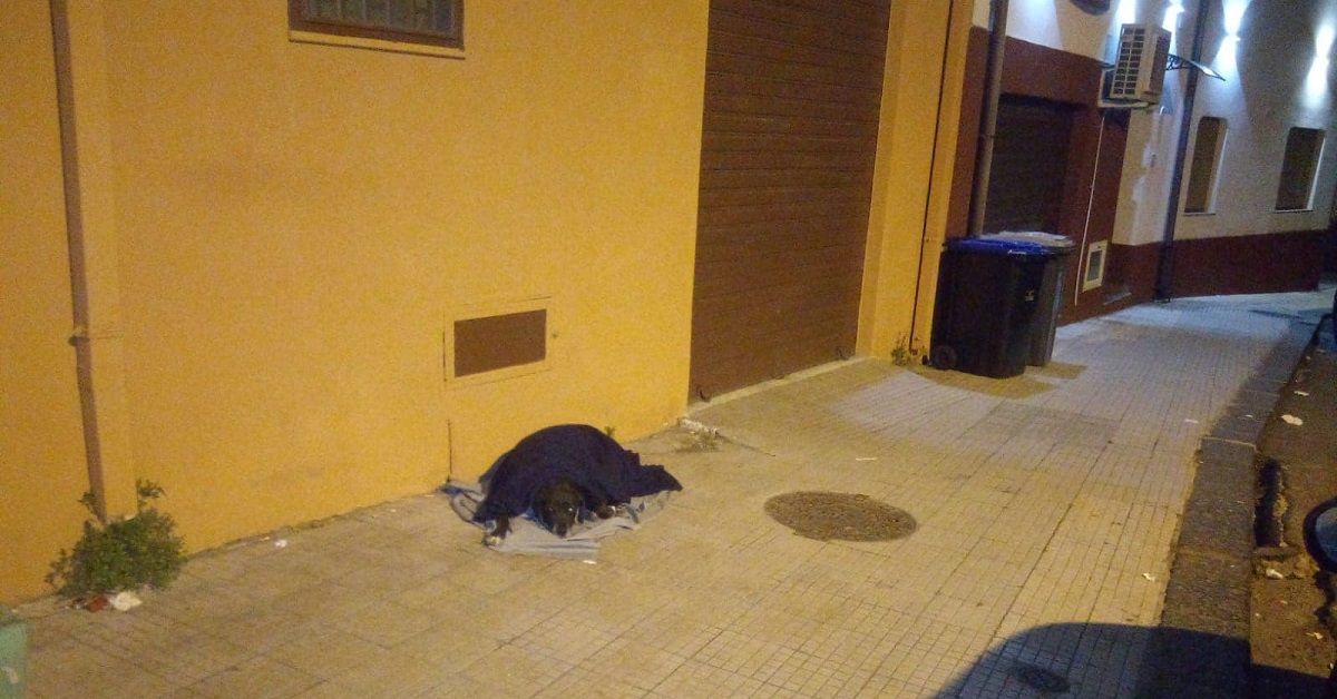 Messina, cane Nerone perde il proprietario e viene cacciato da un parente del defunto