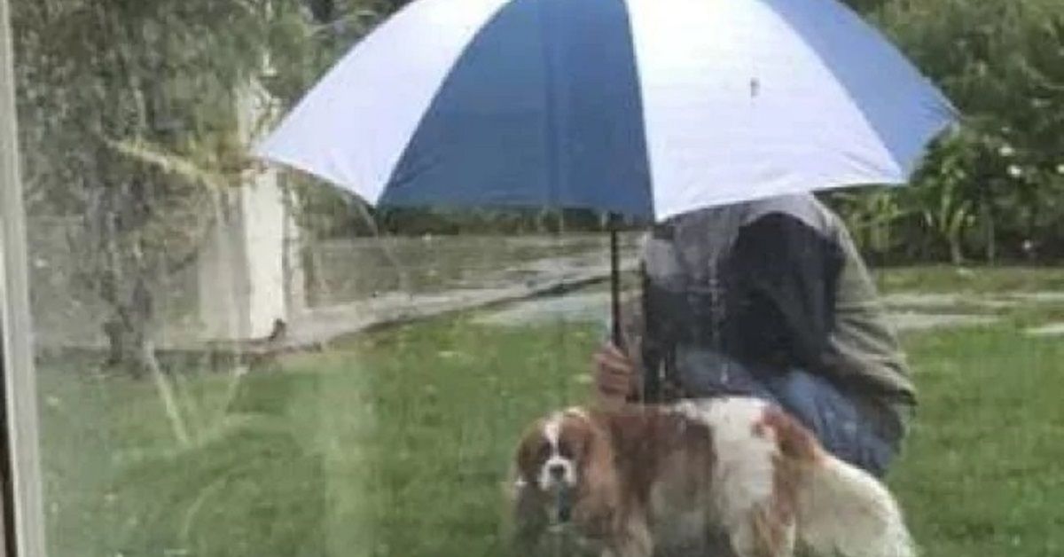 Il papà che non voleva il cane ora non ne può più fare a meno