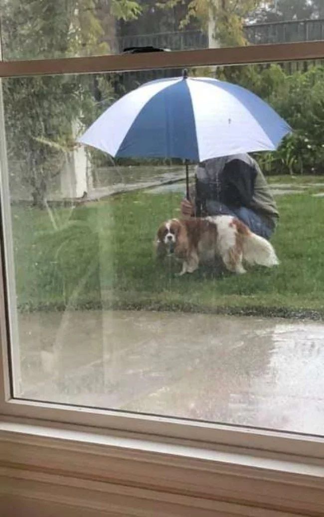Il papà che non voleva il cane ora non ne può più fare a meno