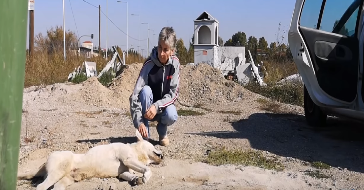 Petunia e la sua nuova vita