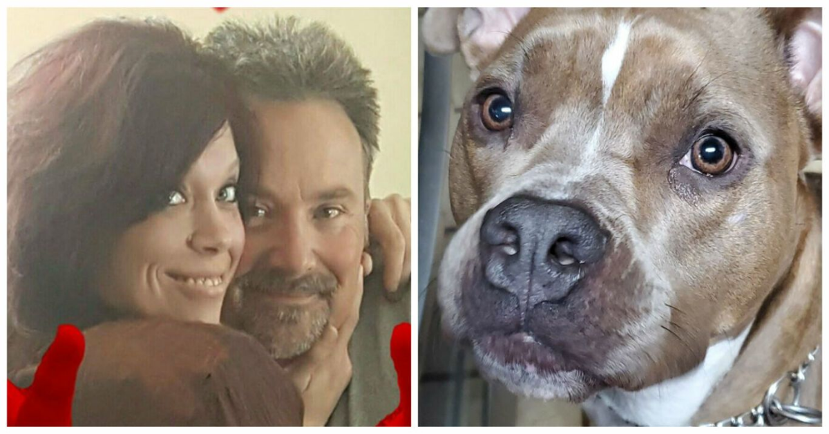 Pizzica il futuro marito mentre canta canzoni d’amore al loro pitbull