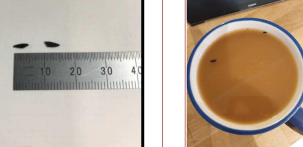 Ritirate capsule per il caffè: “Pericolose per la salute”