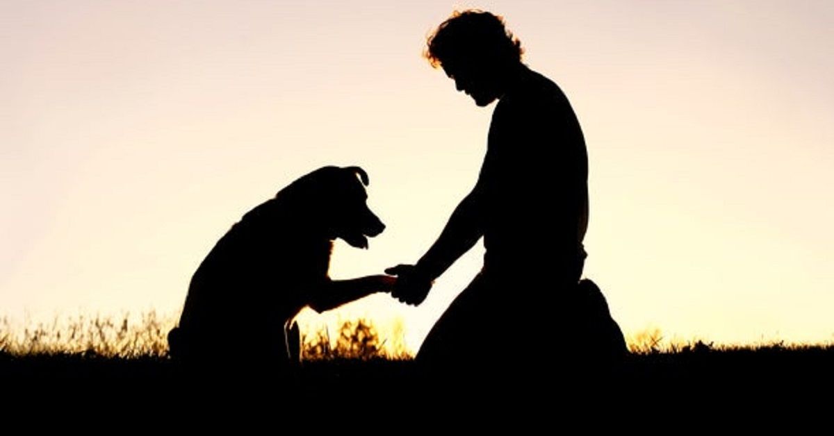 Perché dovremmo prendere sul serio chi soffre per la perdita di un animale domestico