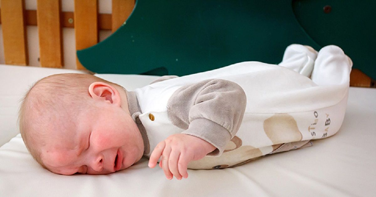 Il piccolo Alexander