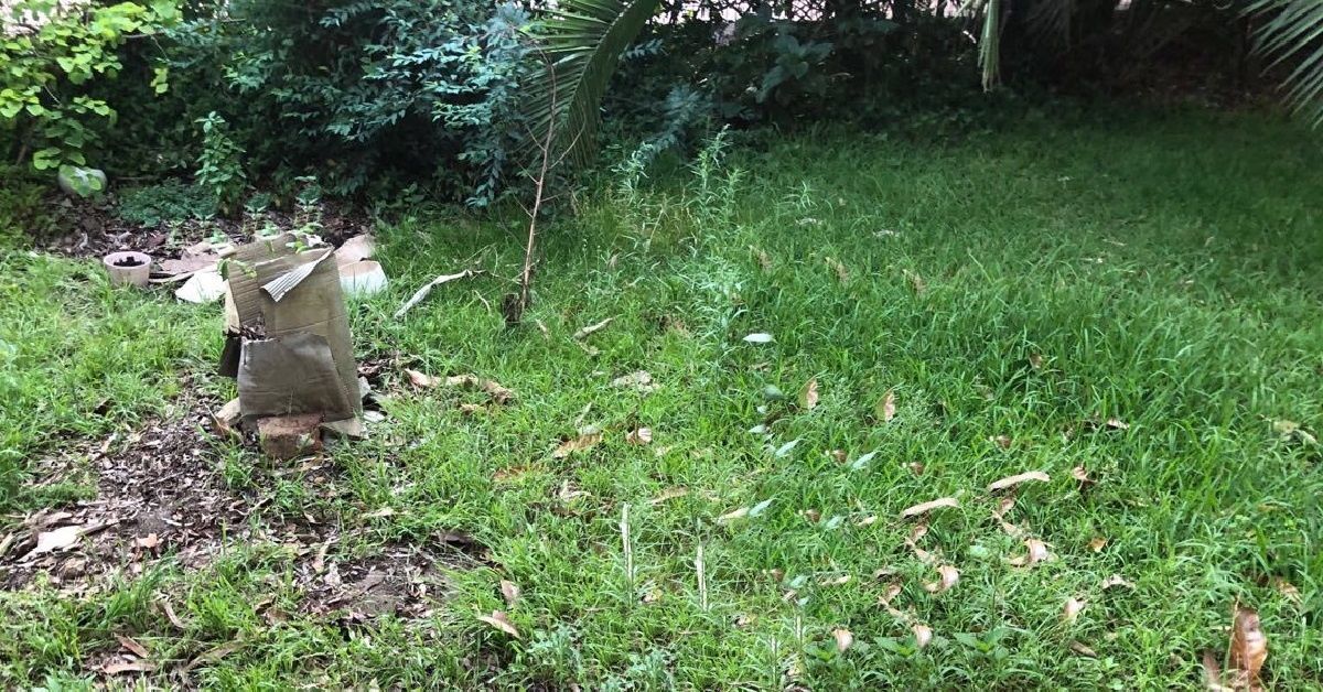 Uomo salva 6 cuccioli abbandonati in un bosco