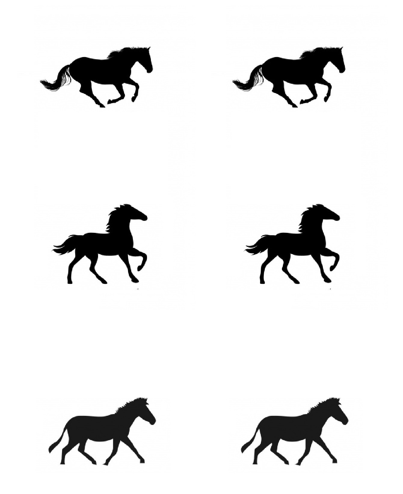 5-10-cavalli