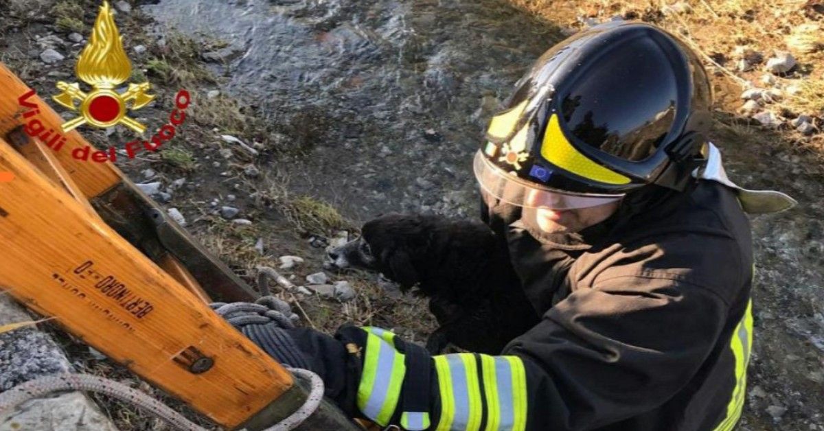 Montemurlo, scappa spaventato a causa dei fuochi d’artificio. Salvato dai Vigili del Fuoco.