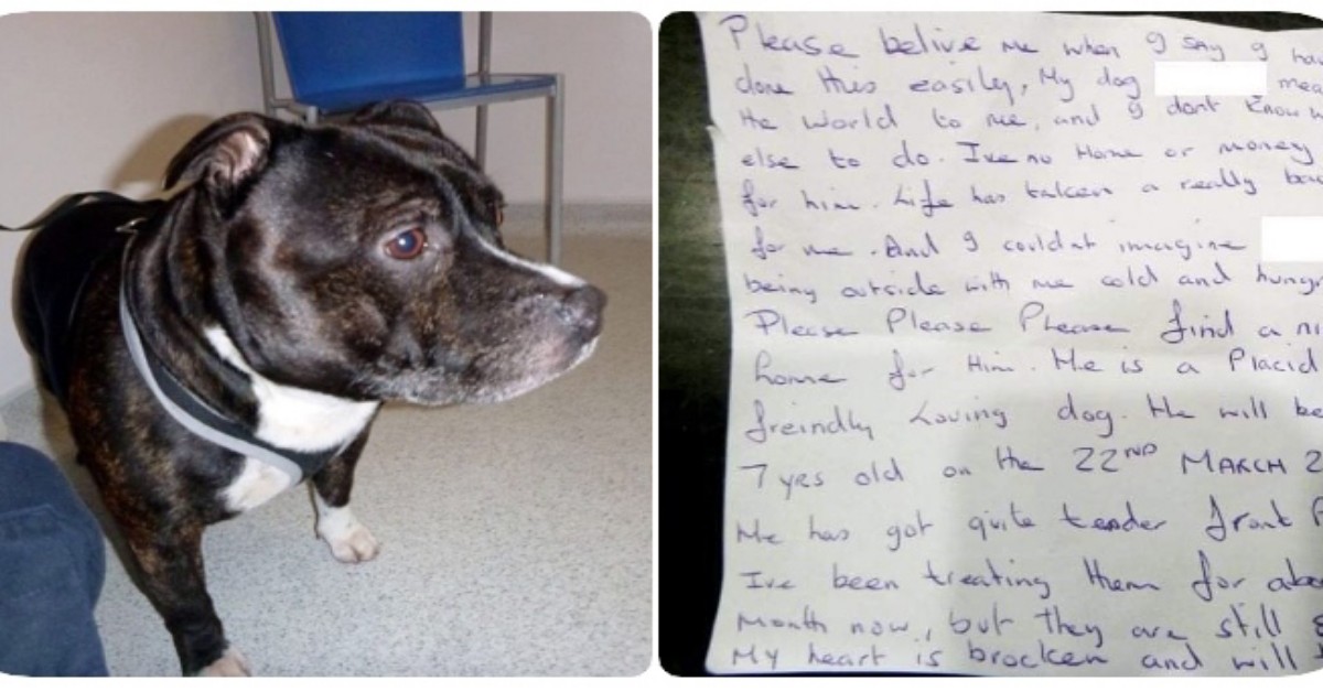 Trovato un cane legato accanto all’altare della chiesa, con una nota al collo.
