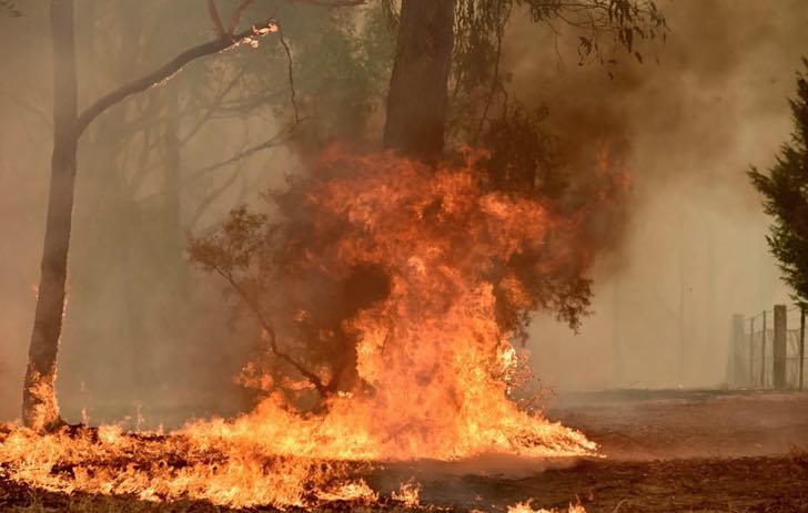 Incendio-bosco