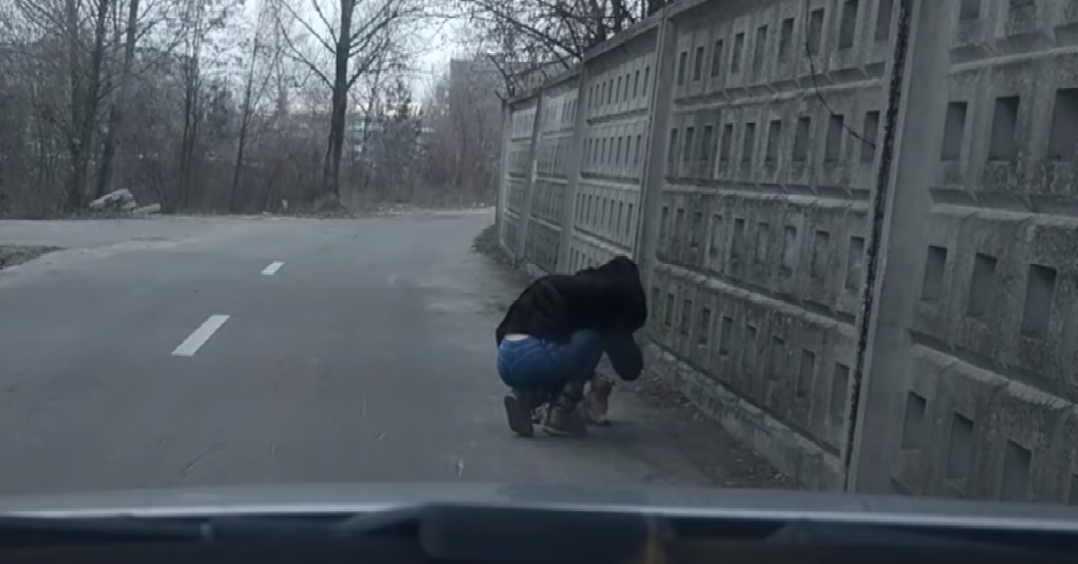 Jhonny Il gatto paralizzato