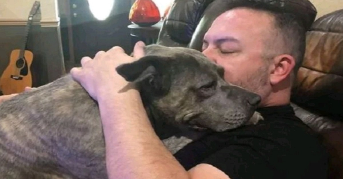 Salva due pitbull dal canile e loro gli salvano la vita durante una rapina.