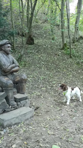 Chester-il-cane-che-vuole-giocare-con-la-statua 1