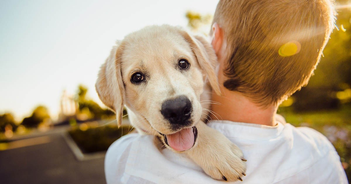 Ecco perché avere un cane in casa rende felici