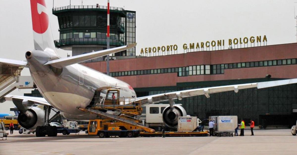 Bologna, cane abbandonato in aeroporto