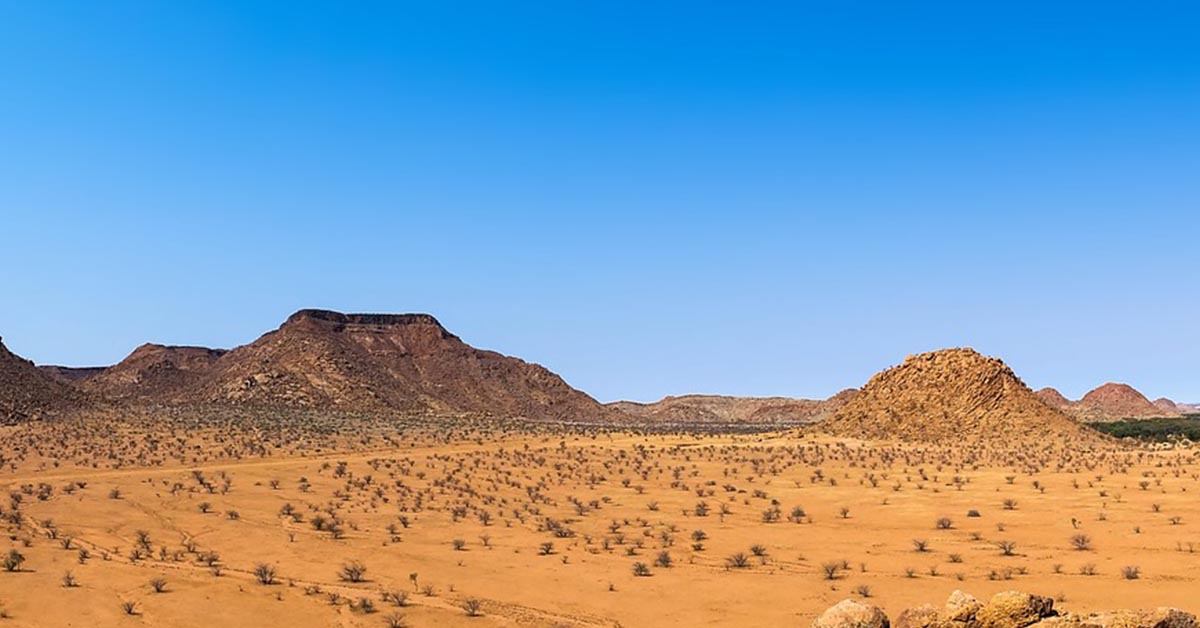 La grande muraglia verde per il rilancio naturale in Africa