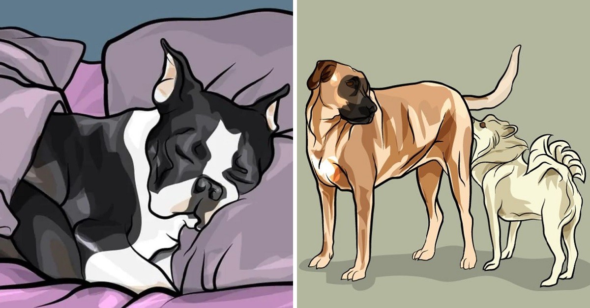 10 comportamenti strani del cane spiegati dagli specialisti
