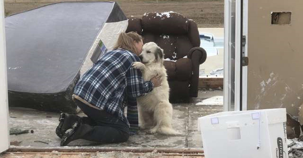 Cane ritrova la sua mamma dopo una separazione forzata a causa del tornado