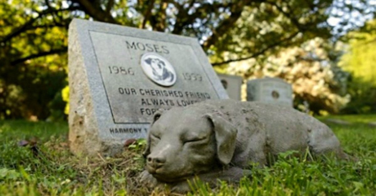 New York, nuova legge consente agli animali domestici di essere sepolti con gli umani al cimitero