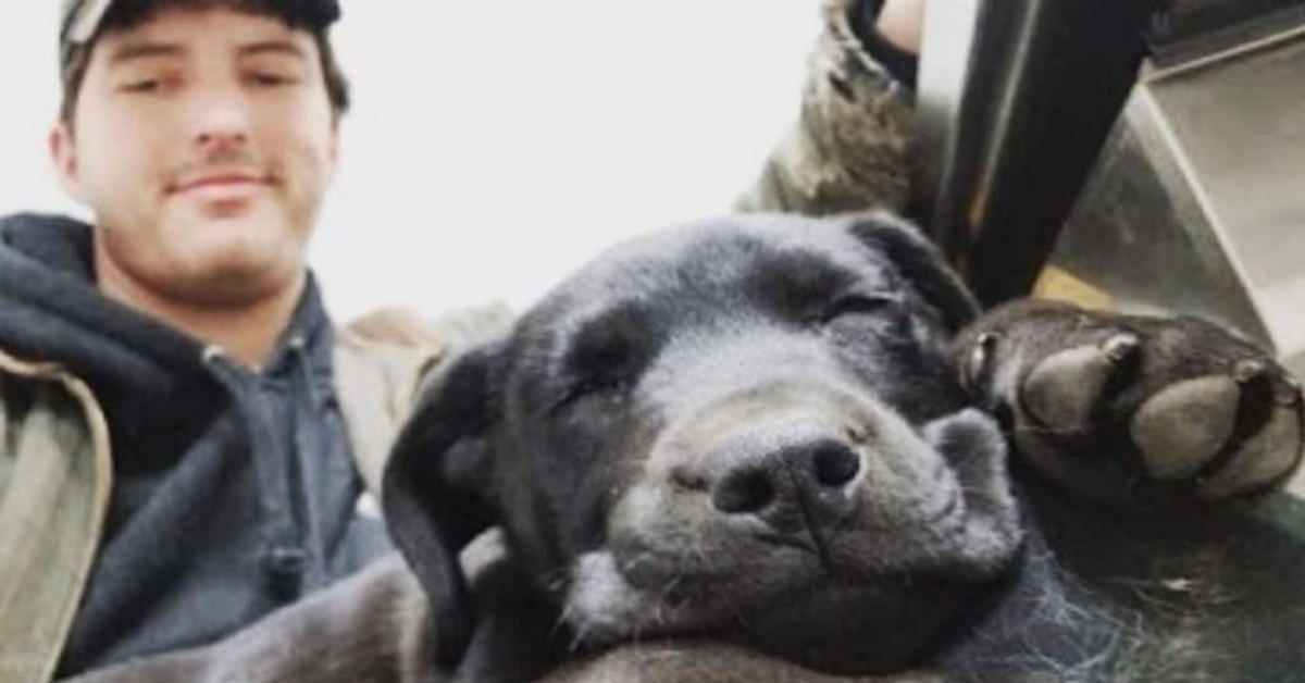 Ragazzo sordo adotta cane sordo e gli insegna il linguaggio dei segni