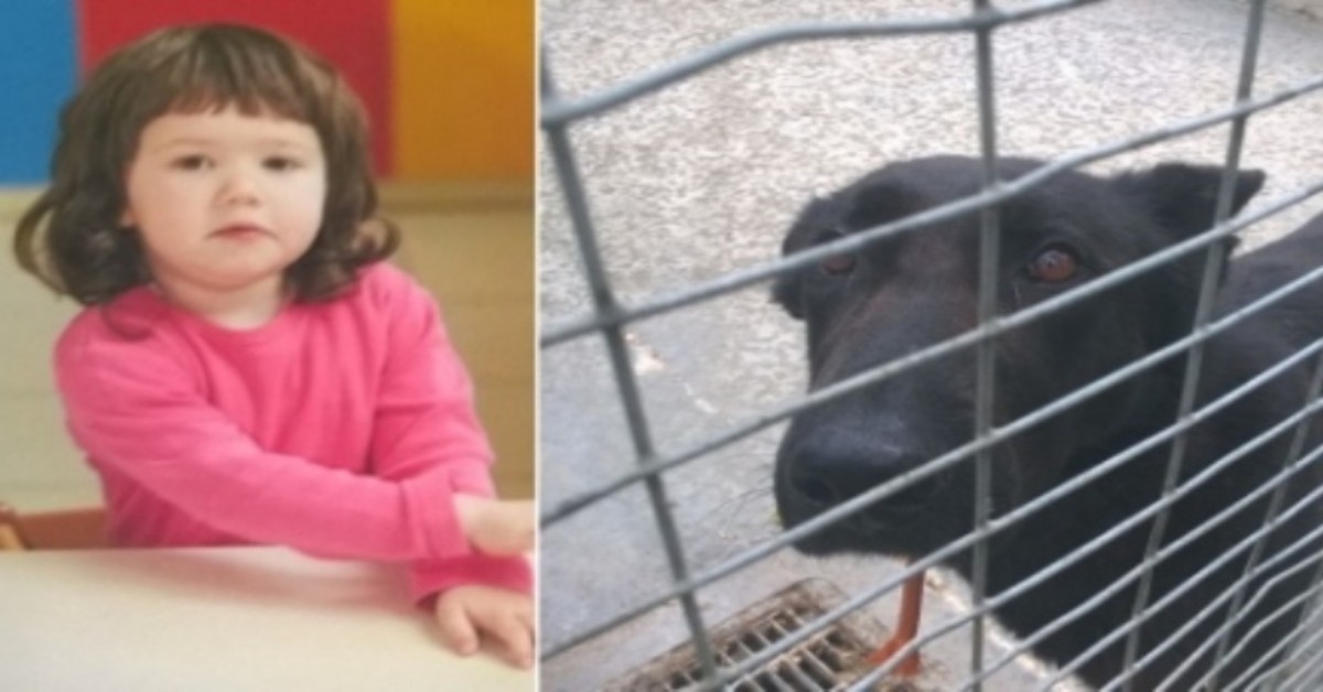 Bambina uccisa dal pastore tedesco: mamma e zio assolti