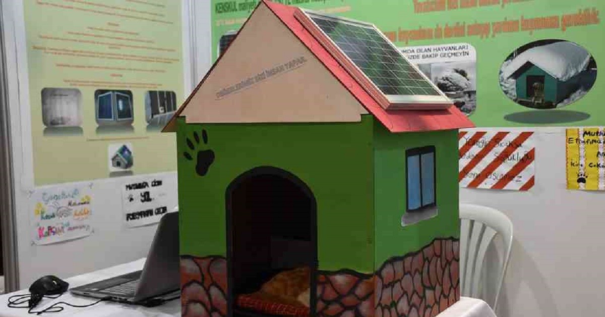 Studenti inventano una cuccia riscaldata per tenere caldi i randagi in inverno