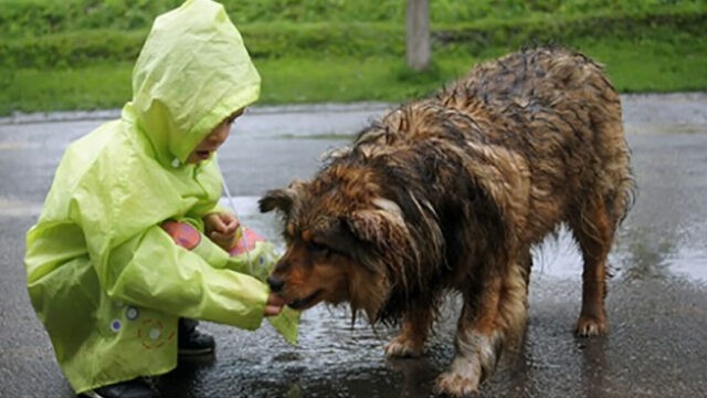 l'amore-di-Ken-per-gli-animali