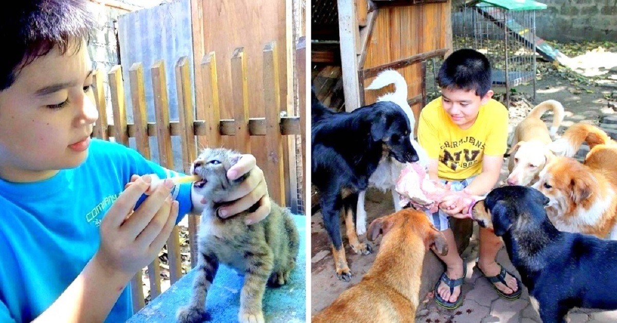 L’amore di Ken per gli animali