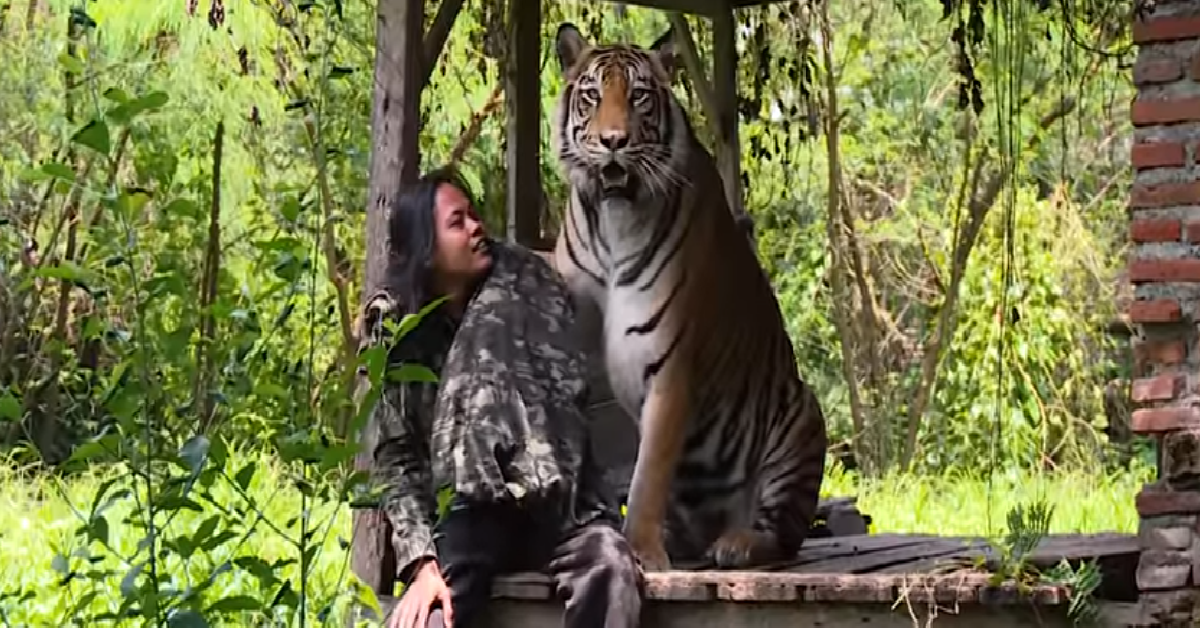 La tigre Mulan
