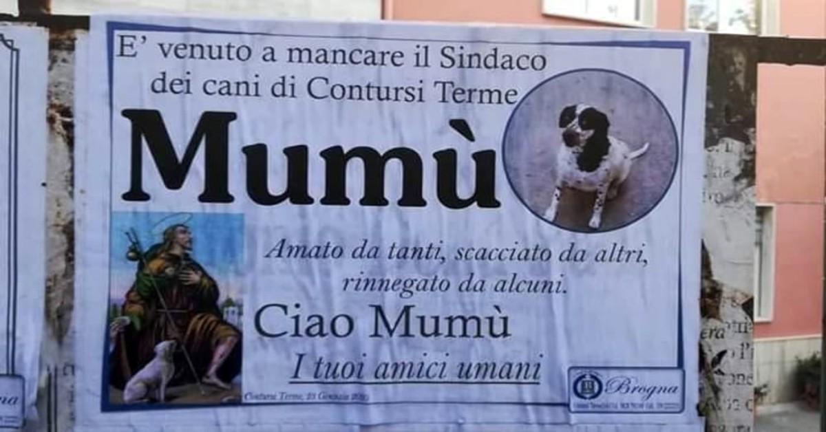 Comune in provincia di Salerno, tappezza la città di manifesti, per la morte di un cane speciale