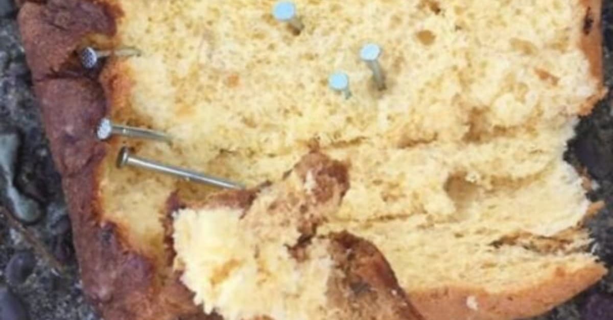 Orzinuovi, trovato un pezzo di pandoro con dei chiodi, per la strada, destinato ai cani
