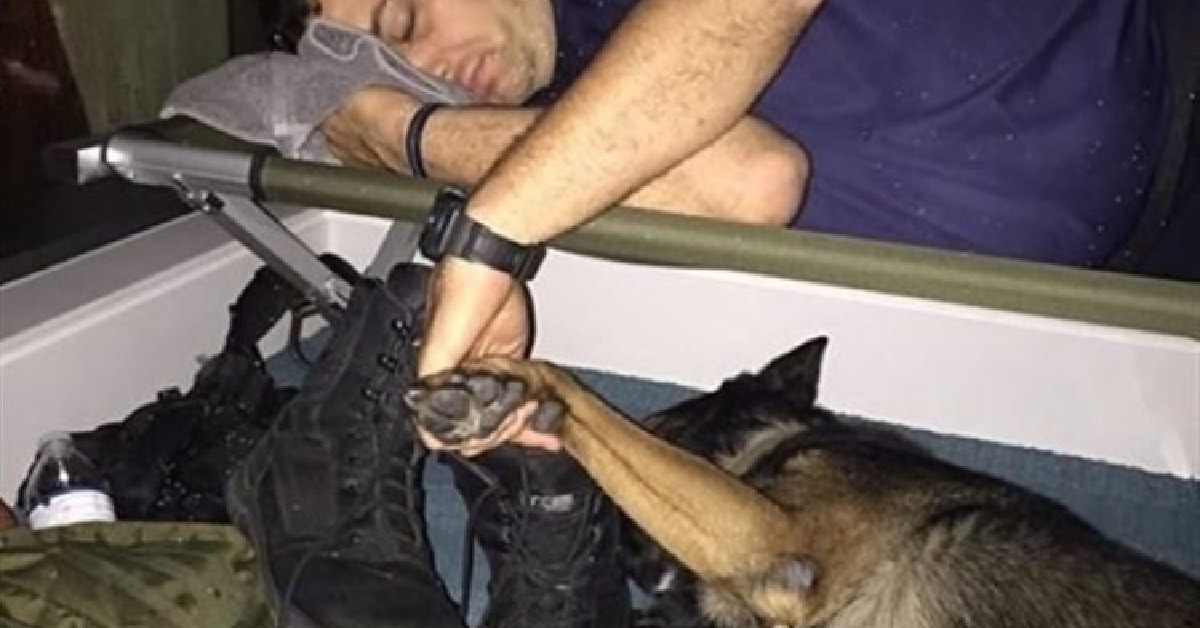 Poliziotto si addormenta con la zampa del suo fedele amico a quattro zampe dopo una lunga giornata
