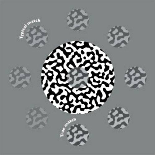 risposta-corretta-2
