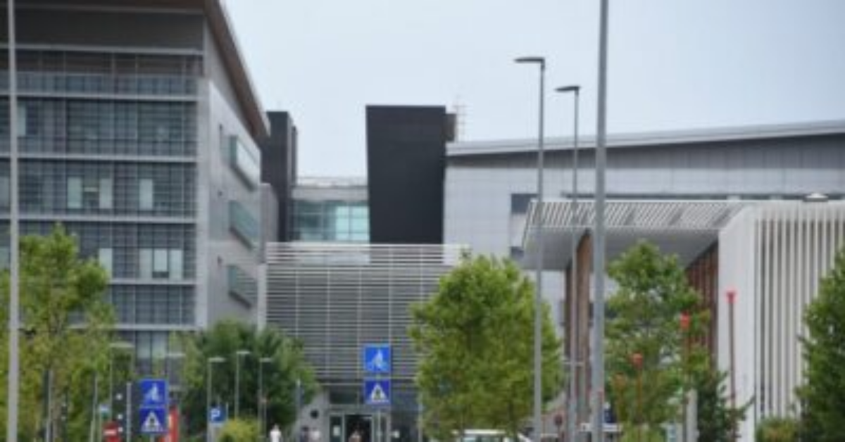 Sondrio, due bambini finiscono con il bob contro un albero. Il padre è accusato di omicidio.