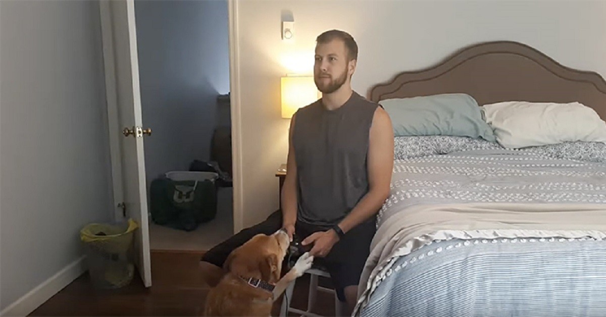 Cagnolina fa di tutto per distrarre il papà umano dai videogame