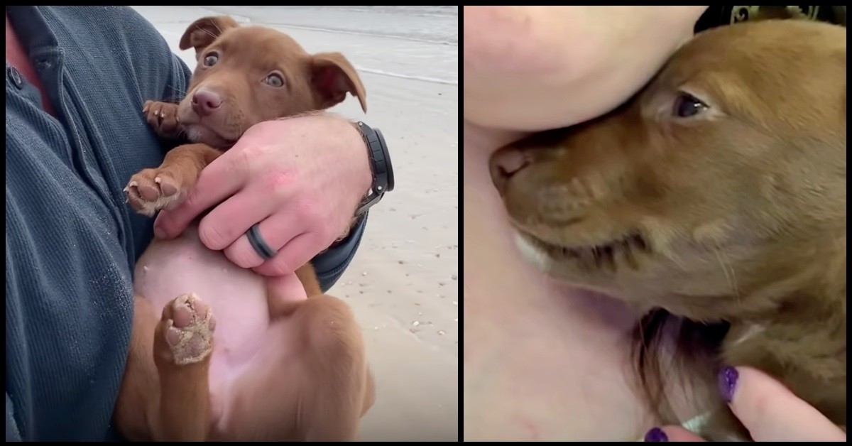 Il sorriso della piccola Layla che ha colpito tutti