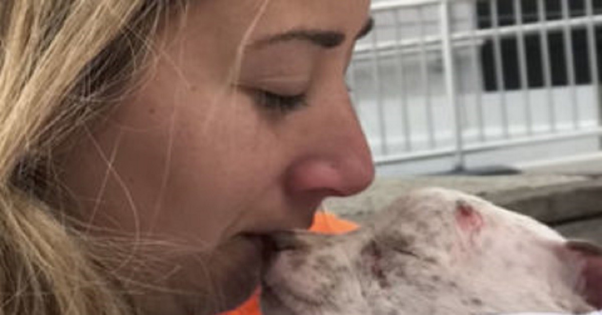 Joan Jet la cagnolina con bisogni speciali