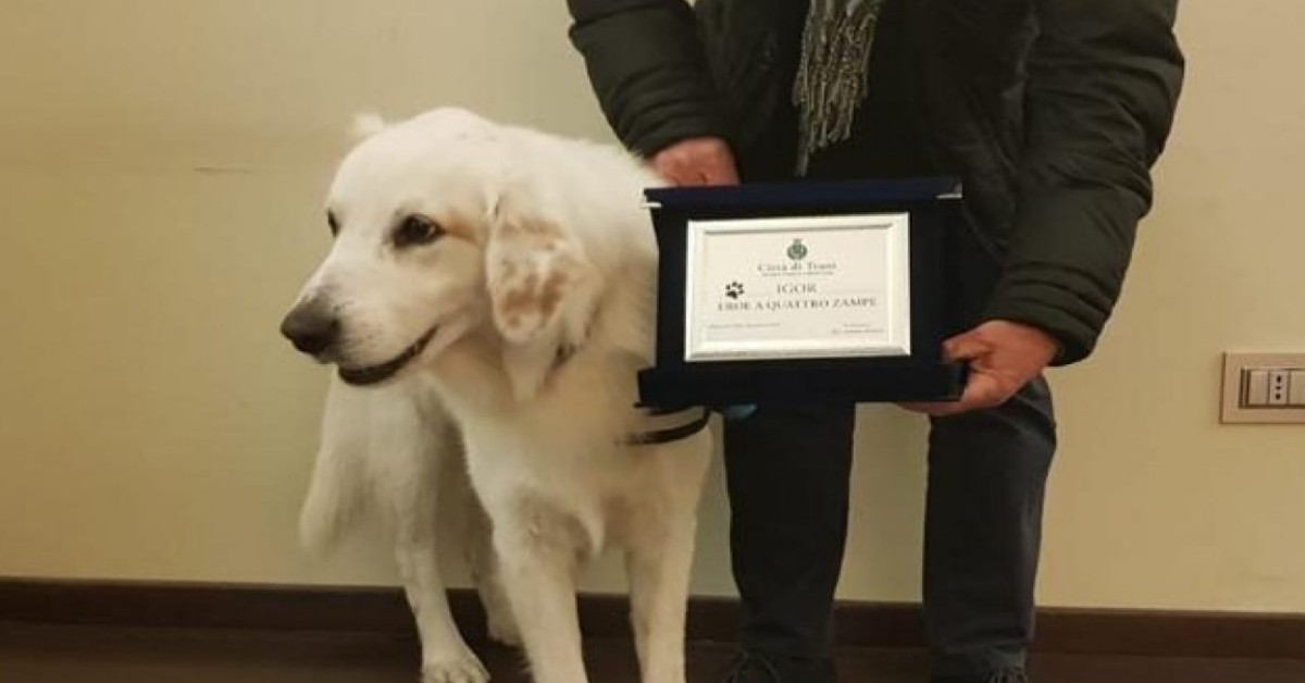 Cane salva un uomo da un attacco di cuore. Il sindaco lo premia.