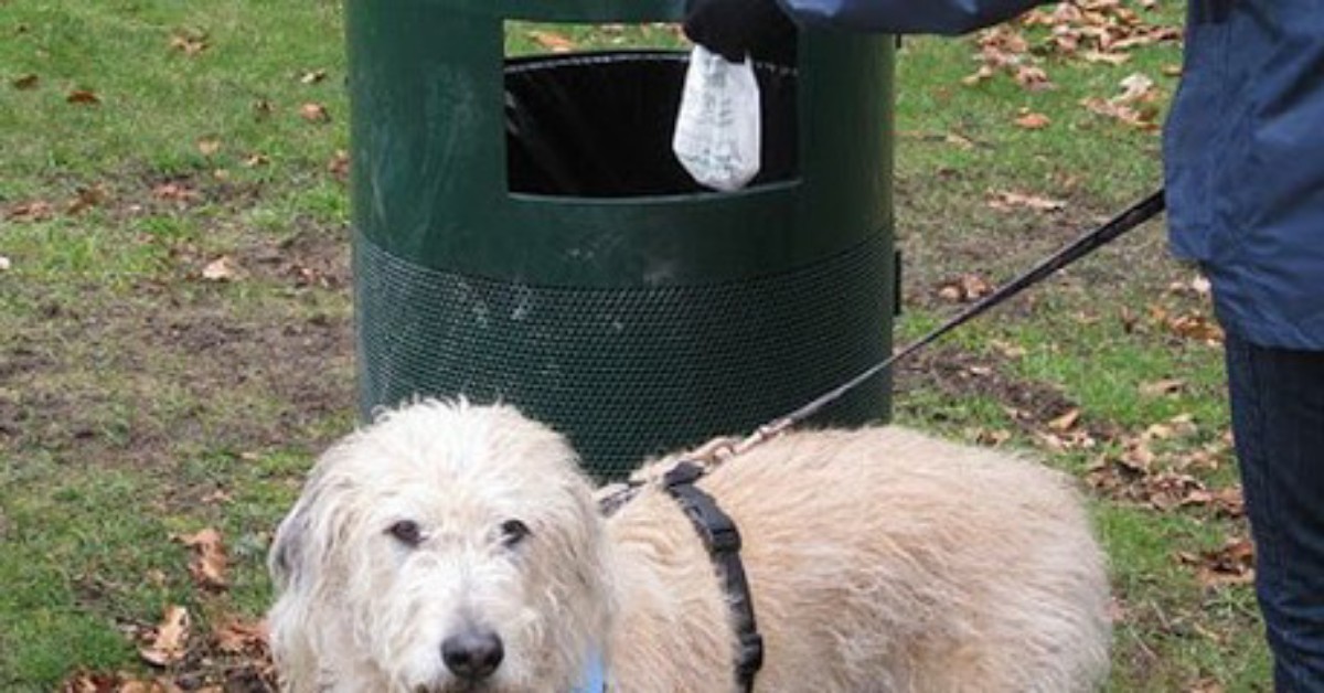 Vicenza, tredicenne non raccoglie i bisogni del suo cane. Un signore gli da una lezione…