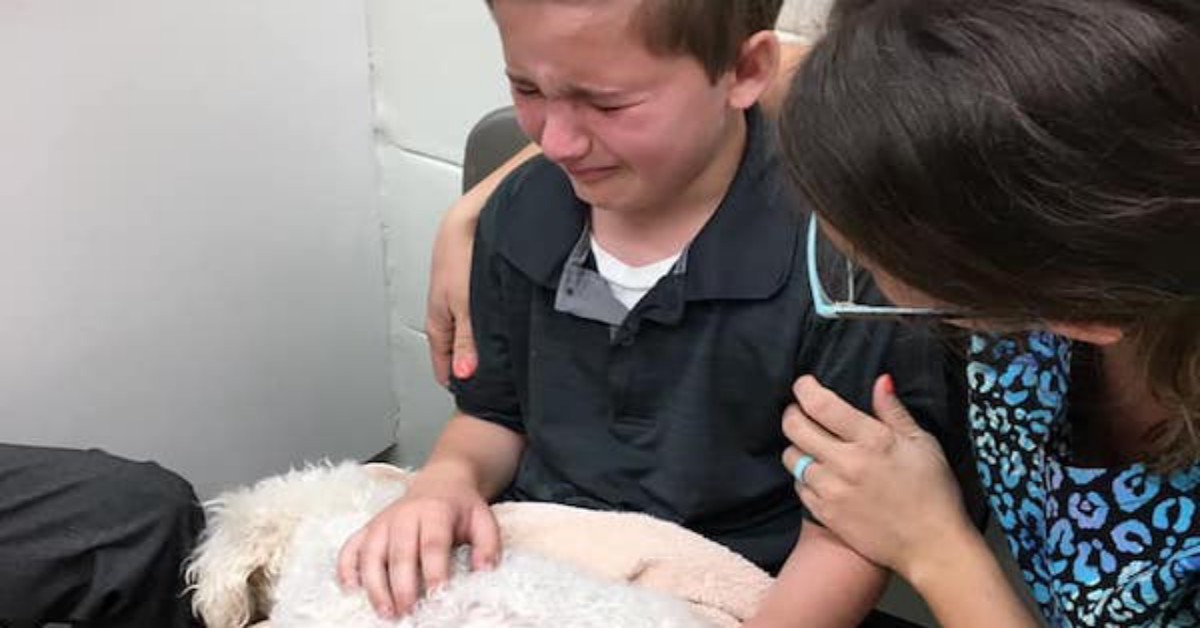 Bambino voleva stare vicino al cane morente