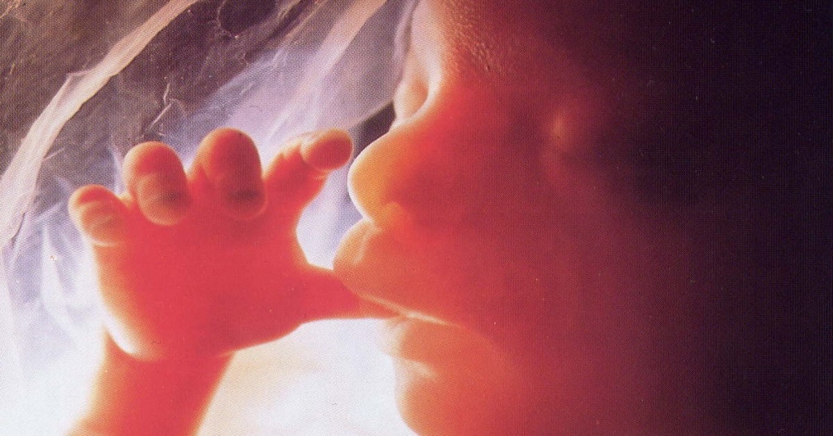 Coronavirus in gravidanza. Cosa succede al feto secondo i primi studi.