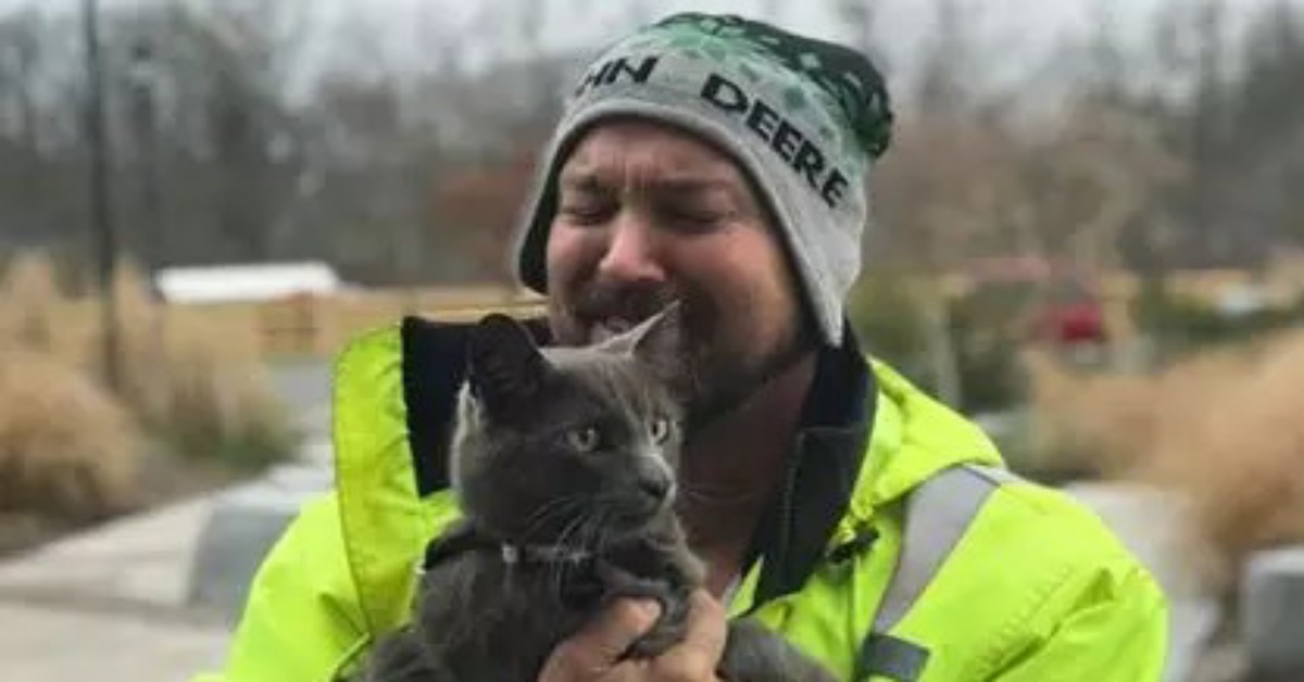 Camionista piange di gioia quando finalmente ritrova il suo amato gattino