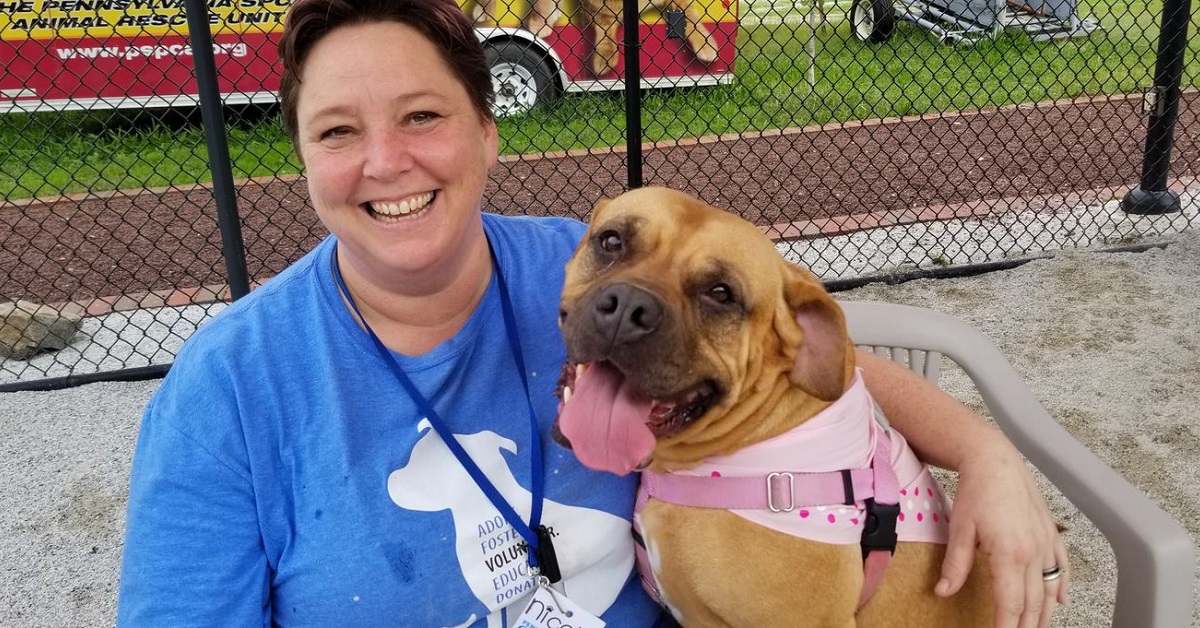 Cagnolina non riesce a girare la testa dopo aver dormito 963 giorni su un pavimento di cemento