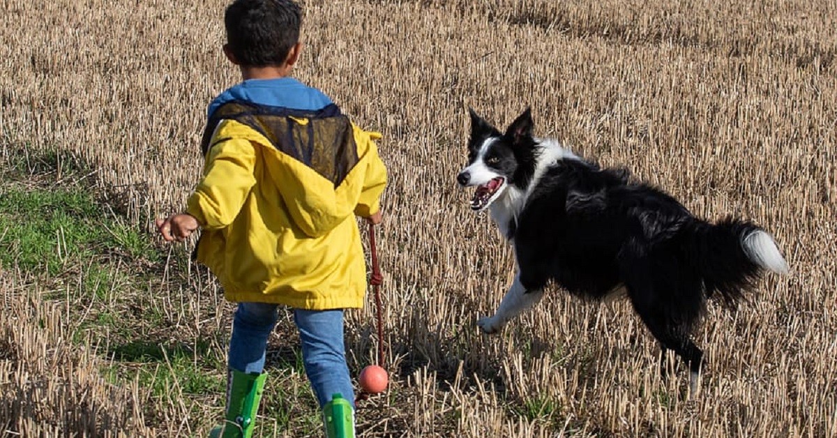 Non permettere ai bambini di maltrattare i cani: è pericoloso